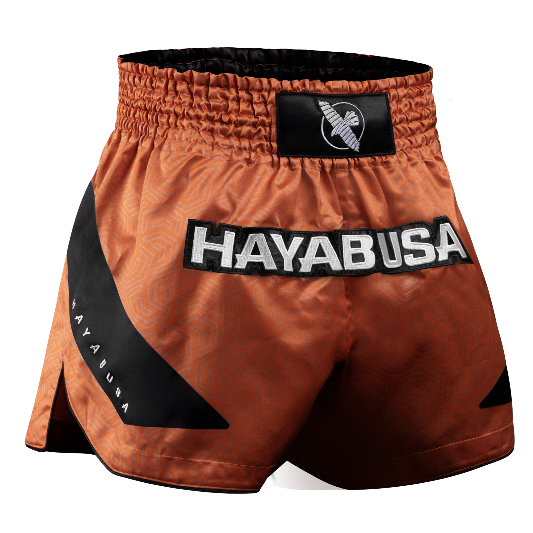 Hayabusa Core Muay Thai Shorts