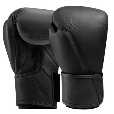 Hayabusa T360 Leather Boxing Gloves