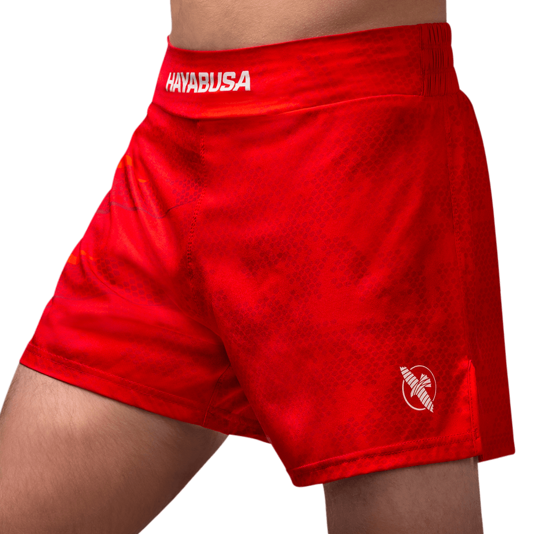 kickboxing short