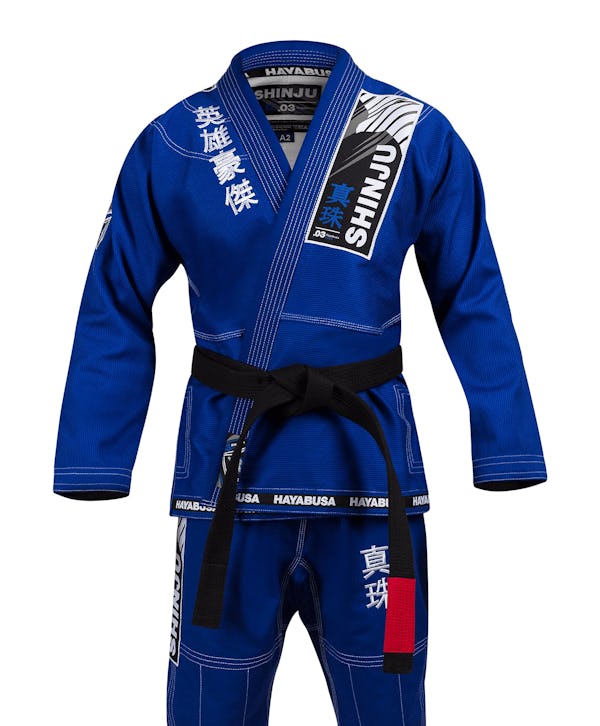The Hayabusa Experience