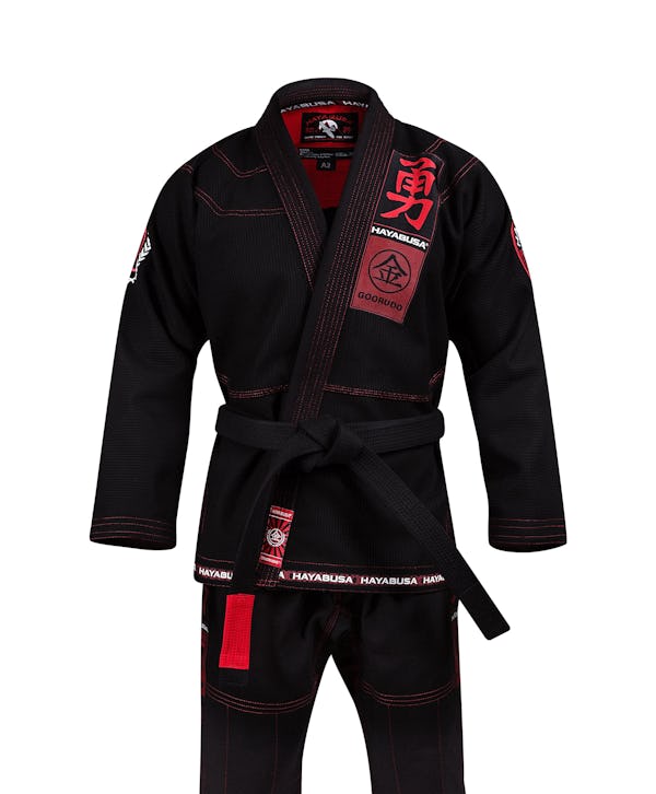 The Hayabusa Experience