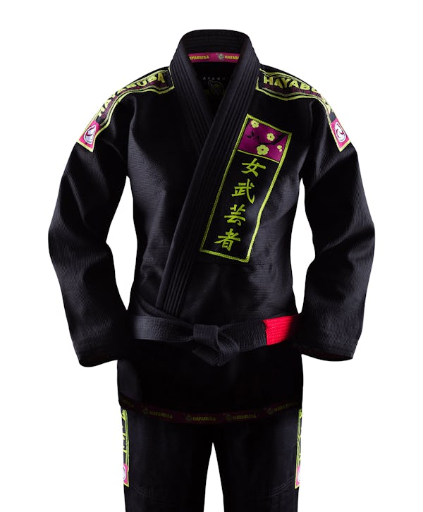 The Hayabusa Experience
