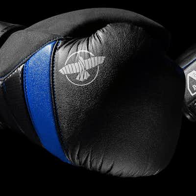 T3 Boxing Gloves