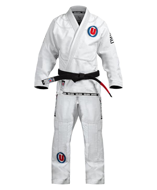 The Hayabusa Experience