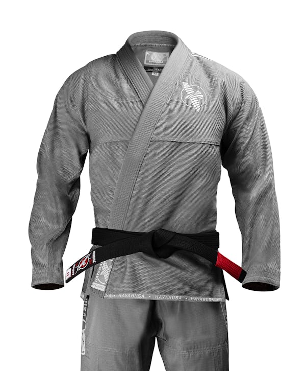 The Hayabusa Experience