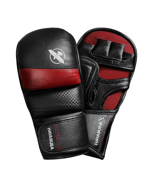 The Hayabusa Experience