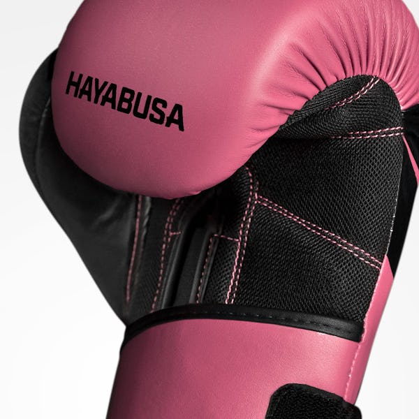 The Hayabusa Experience